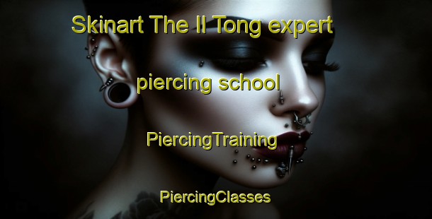 Skinart The Il Tong expert piercing school | #PiercingTraining #PiercingClasses #SkinartTraining-Korea