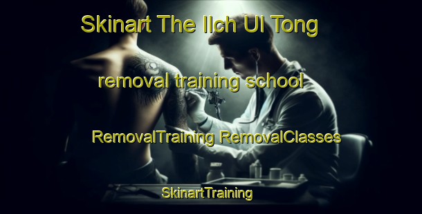 Skinart The Ilch Ul Tong removal training school | #RemovalTraining #RemovalClasses #SkinartTraining-Korea