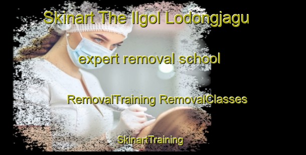 Skinart The Ilgol Lodongjagu expert removal school | #RemovalTraining #RemovalClasses #SkinartTraining-Korea