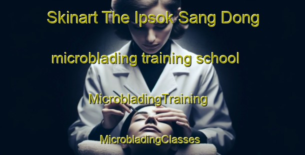 Skinart The Ipsok Sang Dong microblading training school | MicrobladingTraining | MicrobladingClasses | SkinartTraining-Korea