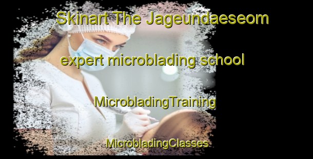 Skinart The Jageundaeseom expert microblading school | #MicrobladingTraining #MicrobladingClasses #SkinartTraining-Korea