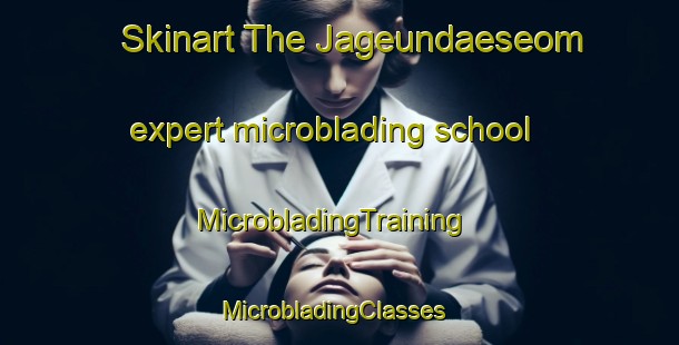 Skinart The Jageundaeseom expert microblading school | MicrobladingTraining | MicrobladingClasses | SkinartTraining-Korea