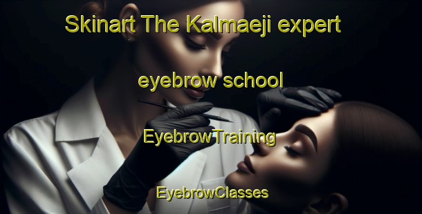 Skinart The Kalmaeji expert eyebrow school | EyebrowTraining | EyebrowClasses | SkinartTraining-Korea