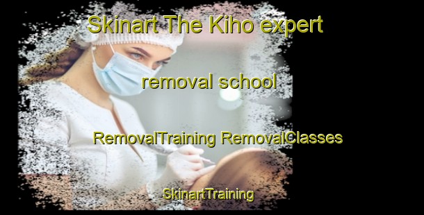 Skinart The Kiho expert removal school | #RemovalTraining #RemovalClasses #SkinartTraining-Korea