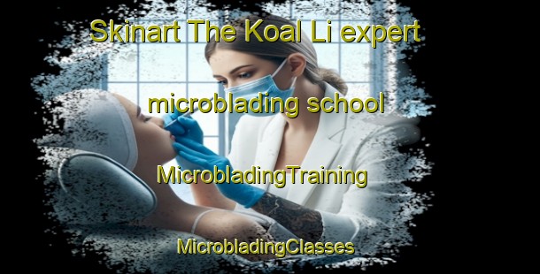 Skinart The Koal Li expert microblading school | MicrobladingTraining | MicrobladingClasses | SkinartTraining-Korea