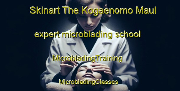 Skinart The Kogaenomo Maul expert microblading school | MicrobladingTraining | MicrobladingClasses | SkinartTraining-Korea