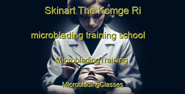 Skinart The Komge Ri microblading training school | #MicrobladingTraining #MicrobladingClasses #SkinartTraining-Korea