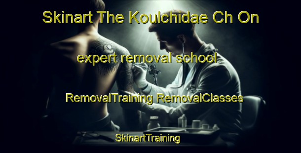 Skinart The Koulchidae Ch On expert removal school | #RemovalTraining #RemovalClasses #SkinartTraining-Korea