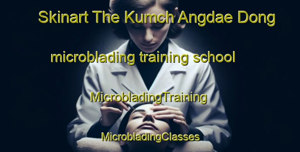 Skinart The Kumch Angdae Dong microblading training school | #MicrobladingTraining #MicrobladingClasses #SkinartTraining-Korea