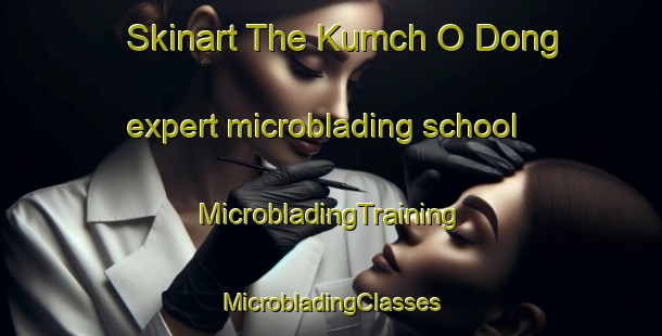 Skinart The Kumch O Dong expert microblading school | #MicrobladingTraining #MicrobladingClasses #SkinartTraining-Korea