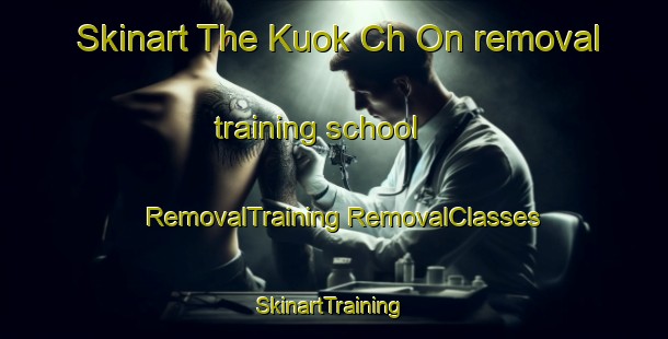 Skinart The Kuok Ch On removal training school | #RemovalTraining #RemovalClasses #SkinartTraining-Korea