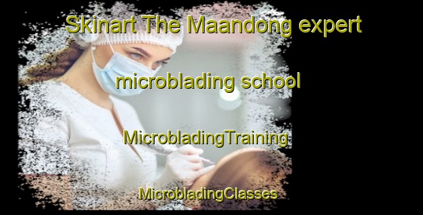 Skinart The Maandong expert microblading school | MicrobladingTraining | MicrobladingClasses | SkinartTraining-Korea