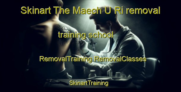 Skinart The Maech U Ri removal training school | #RemovalTraining #RemovalClasses #SkinartTraining-Korea