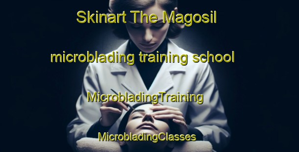 Skinart The Magosil microblading training school | MicrobladingTraining | MicrobladingClasses | SkinartTraining-Korea