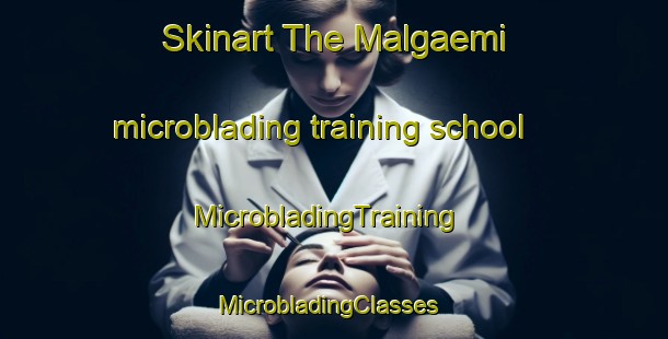 Skinart The Malgaemi microblading training school | MicrobladingTraining | MicrobladingClasses | SkinartTraining-Korea