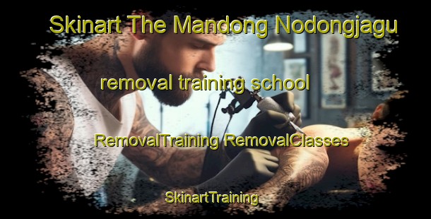 Skinart The Mandong Nodongjagu removal training school | #RemovalTraining #RemovalClasses #SkinartTraining-Korea