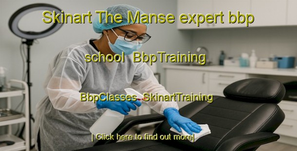 Skinart The Manse expert bbp school | BbpTraining | BbpClasses | SkinartTraining-Korea