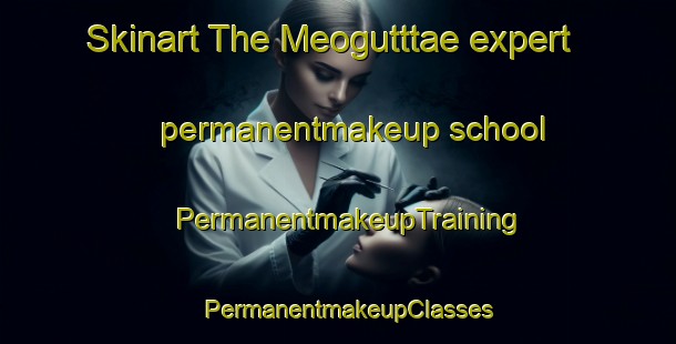 Skinart The Meogutttae expert permanentmakeup school | PermanentmakeupTraining | PermanentmakeupClasses | SkinartTraining-Korea