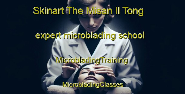 Skinart The Misan Il Tong expert microblading school | #MicrobladingTraining #MicrobladingClasses #SkinartTraining-Korea