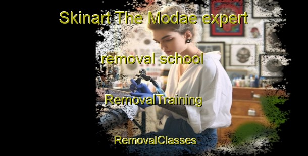 Skinart The Modae expert removal school | RemovalTraining | RemovalClasses | SkinartTraining-Korea