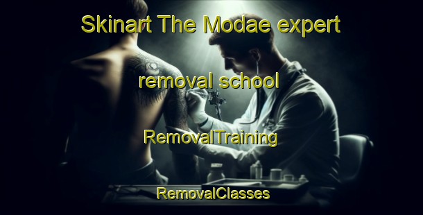 Skinart The Modae expert removal school | RemovalTraining | RemovalClasses | SkinartTraining-Korea