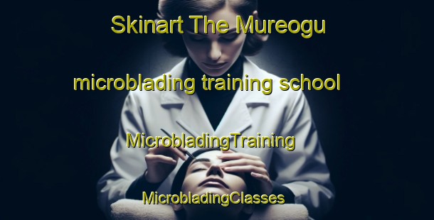 Skinart The Mureogu microblading training school | MicrobladingTraining | MicrobladingClasses | SkinartTraining-Korea