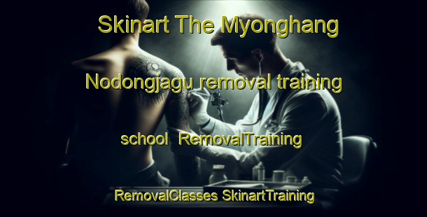 Skinart The Myonghang Nodongjagu removal training school | #RemovalTraining #RemovalClasses #SkinartTraining-Korea