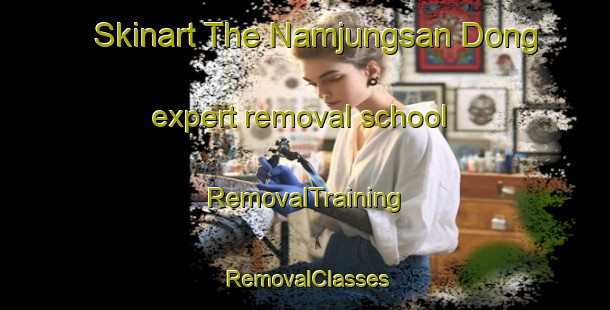 Skinart The Namjungsan Dong expert removal school | RemovalTraining | RemovalClasses | SkinartTraining-Korea