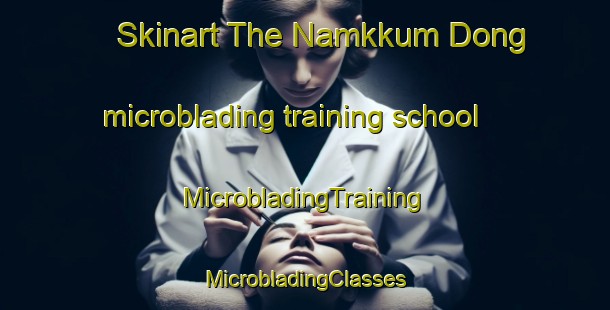 Skinart The Namkkum Dong microblading training school | #MicrobladingTraining #MicrobladingClasses #SkinartTraining-Korea