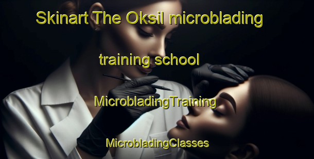 Skinart The Oksil microblading training school | #MicrobladingTraining #MicrobladingClasses #SkinartTraining-Korea