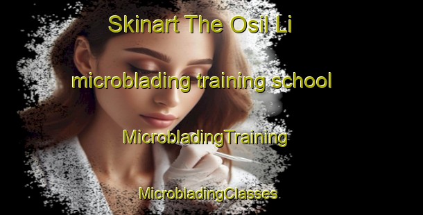 Skinart The Osil Li microblading training school | MicrobladingTraining | MicrobladingClasses | SkinartTraining-Korea