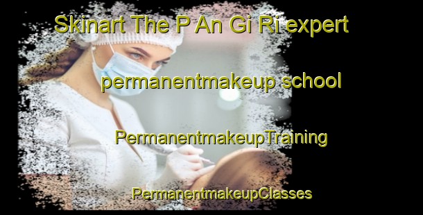 Skinart The P An Gi Ri expert permanentmakeup school | #PermanentmakeupTraining #PermanentmakeupClasses #SkinartTraining-Korea