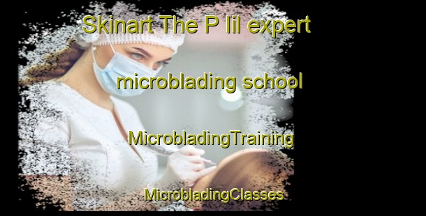 Skinart The P Iil expert microblading school | #MicrobladingTraining #MicrobladingClasses #SkinartTraining-Korea