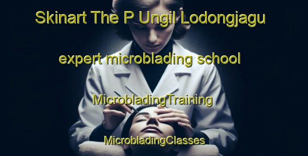 Skinart The P Ungil Lodongjagu expert microblading school | #MicrobladingTraining #MicrobladingClasses #SkinartTraining-Korea