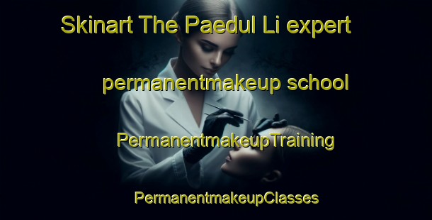 Skinart The Paedul Li expert permanentmakeup school | #PermanentmakeupTraining #PermanentmakeupClasses #SkinartTraining-Korea