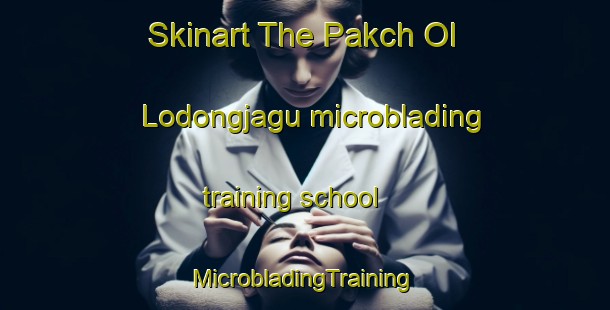 Skinart The Pakch Ol Lodongjagu microblading training school | #MicrobladingTraining #MicrobladingClasses #SkinartTraining-Korea