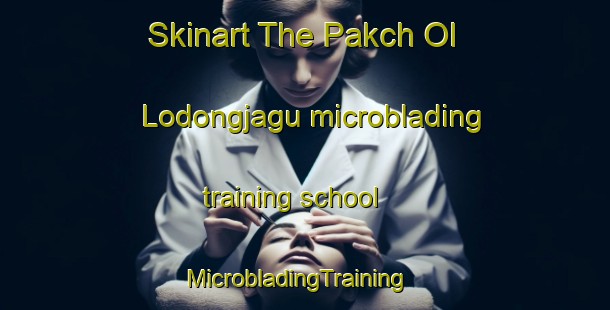 Skinart The Pakch Ol Lodongjagu microblading training school | MicrobladingTraining | MicrobladingClasses | SkinartTraining-Korea