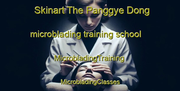 Skinart The Panggye Dong microblading training school | #MicrobladingTraining #MicrobladingClasses #SkinartTraining-Korea