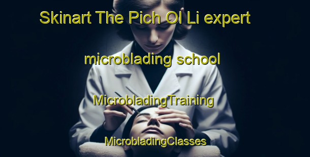 Skinart The Pich Ol Li expert microblading school | #MicrobladingTraining #MicrobladingClasses #SkinartTraining-Korea