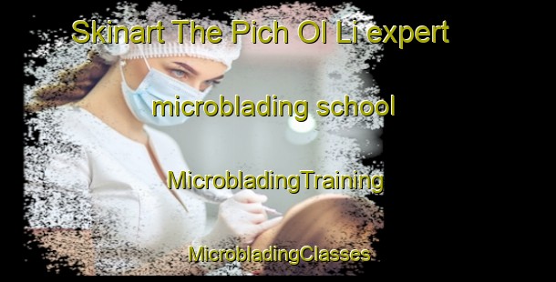 Skinart The Pich Ol Li expert microblading school | #MicrobladingTraining #MicrobladingClasses #SkinartTraining-Korea