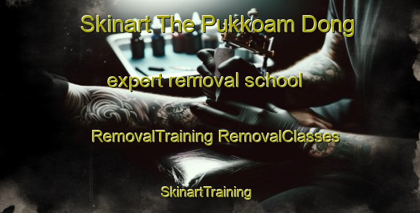 Skinart The Pukkoam Dong expert removal school | #RemovalTraining #RemovalClasses #SkinartTraining-Korea