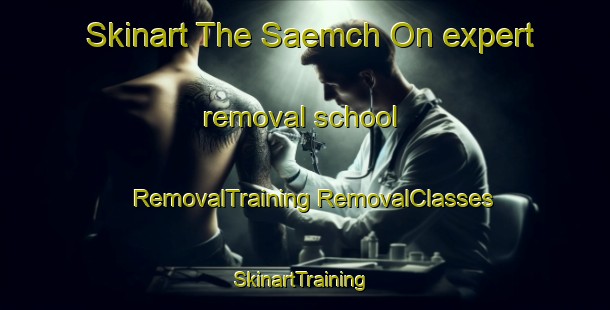 Skinart The Saemch On expert removal school | #RemovalTraining #RemovalClasses #SkinartTraining-Korea