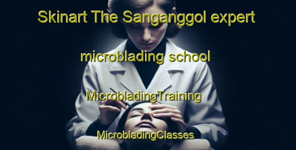 Skinart The Sanganggol expert microblading school | MicrobladingTraining | MicrobladingClasses | SkinartTraining-Korea