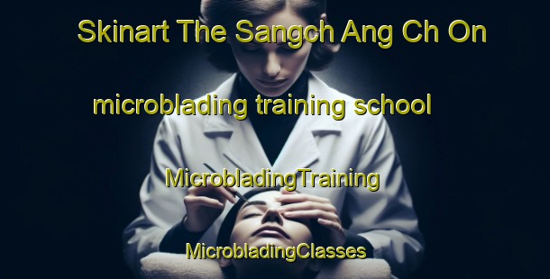 Skinart The Sangch Ang Ch On microblading training school | #MicrobladingTraining #MicrobladingClasses #SkinartTraining-Korea