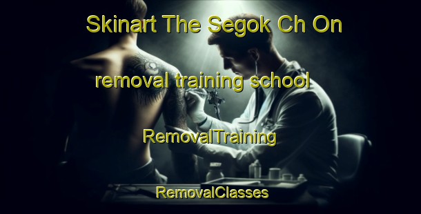 Skinart The Segok Ch On removal training school | RemovalTraining | RemovalClasses | SkinartTraining-Korea