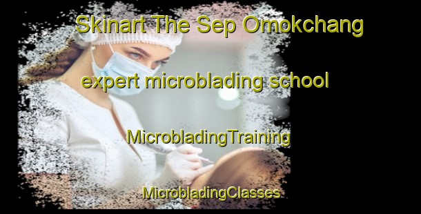 Skinart The Sep Omokchang expert microblading school | #MicrobladingTraining #MicrobladingClasses #SkinartTraining-Korea