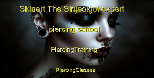 Skinart The Sinjeolgol expert piercing school | PiercingTraining | PiercingClasses | SkinartTraining-Korea