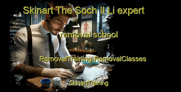 Skinart The Soch Il Li expert removal school | #RemovalTraining #RemovalClasses #SkinartTraining-Korea