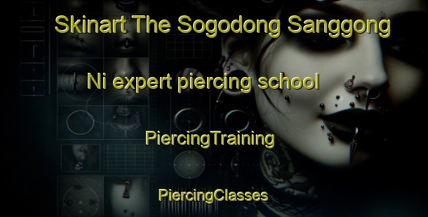 Skinart The Sogodong Sanggong Ni expert piercing school | #PiercingTraining #PiercingClasses #SkinartTraining-Korea