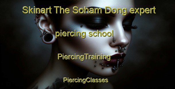 Skinart The Soham Dong expert piercing school | PiercingTraining | PiercingClasses | SkinartTraining-Korea